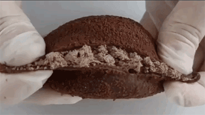 70e5b9834277eb3f2511af376263ef10_1716770055_3658.gif