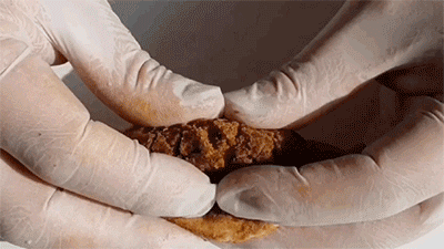 70e5b9834277eb3f2511af376263ef10_1716770069_9823.gif